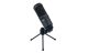 Audio Technica - AT2020 USB Plus